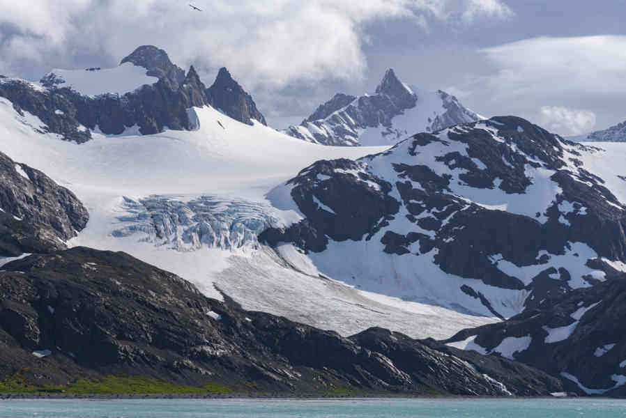 Islas Georgias del Sur 086.jpg